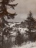 Tak tenhle pohled se už dnes nenaskytne, protože výhled je kryt lesem/ Winter view
