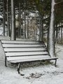 Sněhová poezie/ Poetry of the snow