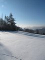 Stopičky ve sněhu/Prints in the snow