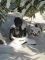 Zasněžený Buddha/ Buddha is covered with snow too
