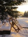 Sáňky/Sled