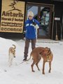 Běžkování s pejsky/Country skiing-dog pulling