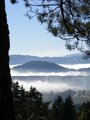 Kopce v mlze/ Foggy hills