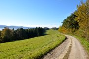 Cesta mezi pastvinami/ Path between pastures