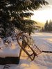 Winter afternoon