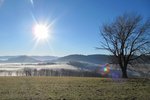 Winter sun