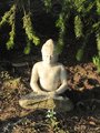 Bílý Buddha a první sněženky