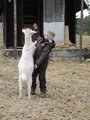 Dej mi už ten chleba / Give me that piece of bread