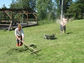 Hrabeme a sušíme, aby bylo seno pro kozičky