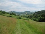 Po cestě z Dešné do Francovy Lhoty/ On the way from Dešná to Francova Lhota