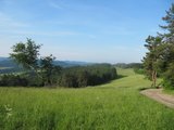 Pastviny s třešňovými stromy/ Pastures with cherry trees