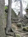 Na Čertových skalách/ At Čertovy rocks