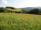 Pohled směrem k Pulčinám nedaleko vrchu Obecnice nad Valašskou Senicí/ View towards Pulčiny close to peak "Obecniny" which is located above village Valašská Senice
