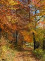 Pohádková cesta/ Fairy path