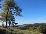 Pohled od Antariku k Senici/ View towards village Valašská Senice