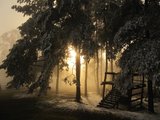 Mlhavá pohádka/ Foggy fairytale