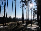 Podzimní procházka/ Autumn walk
