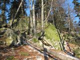 Skály poblíž Papajského sedla/ Rocks near by Papajske saddle 