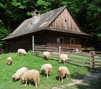 turp rožnov muzeum.jpg