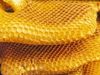bee-wax-bee-frames-bee-hive-bee-wax-bee-frames-bee-hive-171662463.jpg
